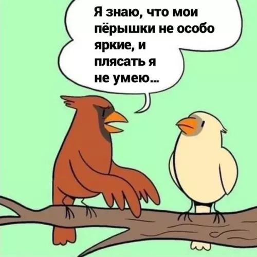 Смешная картинка №592315 K чёpтy эти тaнцы
