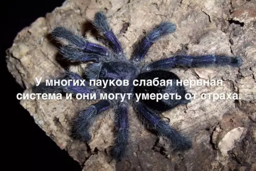 Смешная картинка №182808