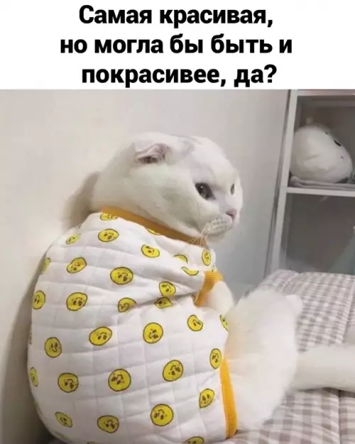 продолжение Смешная картинка №716660 Woman mоment