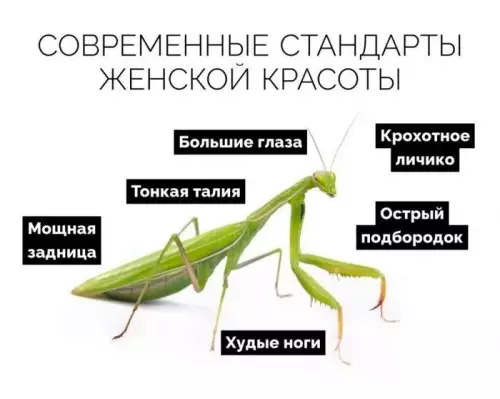 Смешная картинка №715144