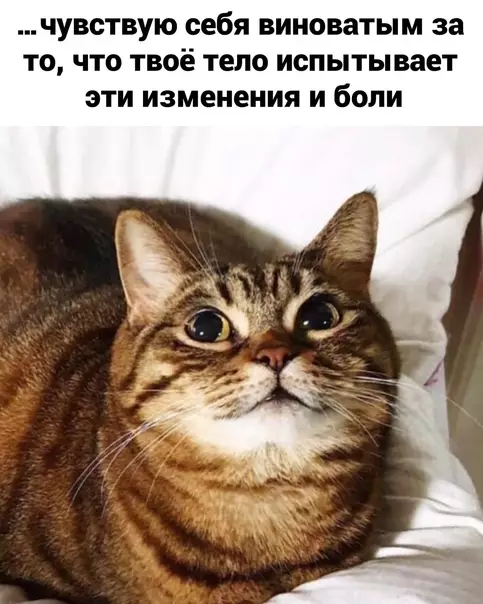 продолжение Смешная картинка №582040 Так, стоп...