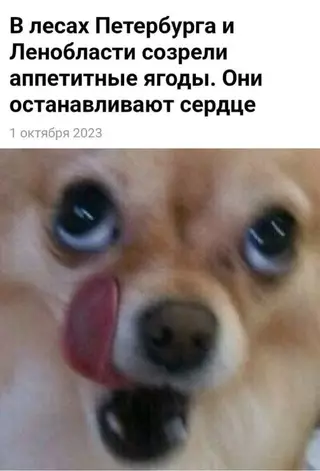 Смешная картинка №698820 Ммм вкусняшка