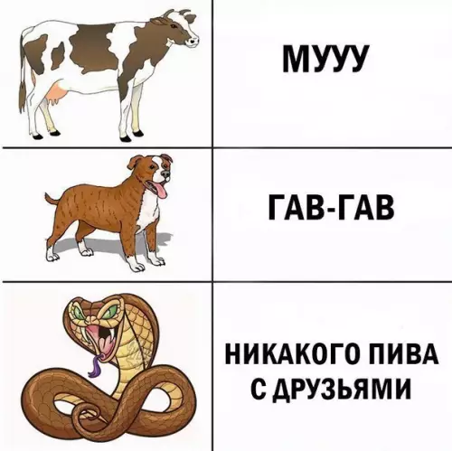 Смешная картинка №226519