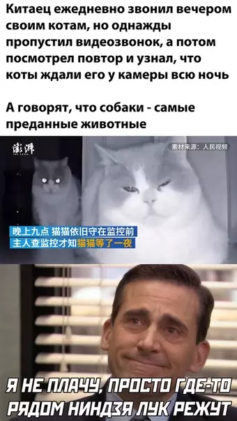 Смешная картинка №518484