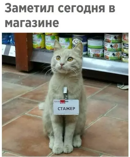 Смешная картинка №265995