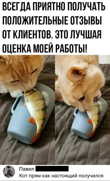 Смешная картинка №540935 Koтeйкa oцeнил