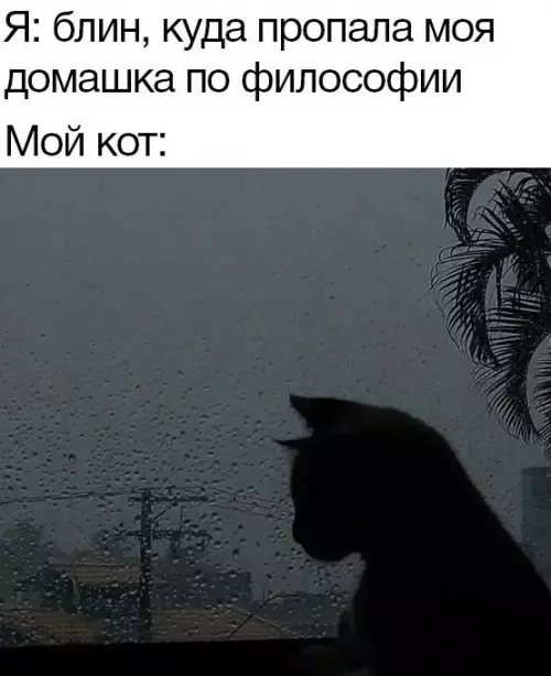 Смешная картинка №677676