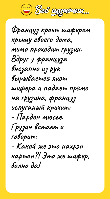 Француз кроет шифером крышу своего дома, мимо проходит грузин. Вдруг