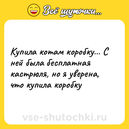 Шутка: Купила котам коробку С ней была бесплатная кастрюля, но я уверена, что купила коробку