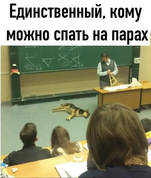 Смешная картинка №530840