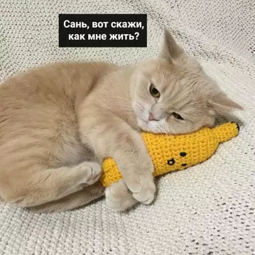 Смешная картинка №460386 Текущее состояние: