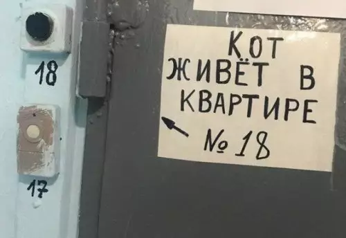 Смешная картинка №310917 Даже у кота есть квартира...?