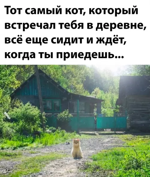 Смешная картинка №698732