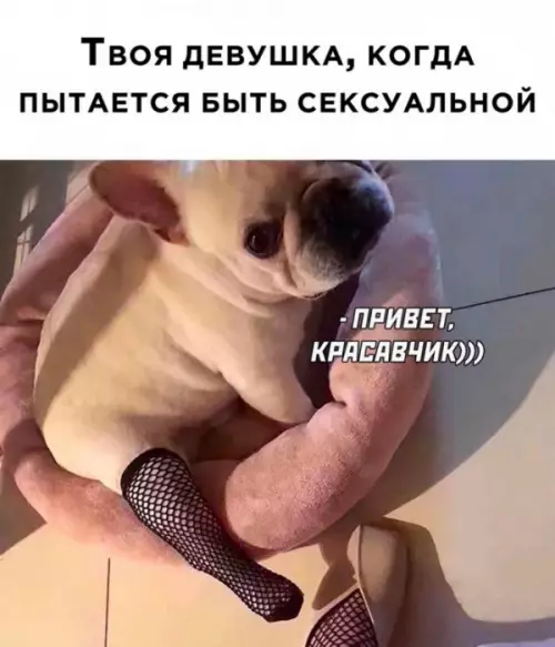 Смешная картинка №655075 девушки