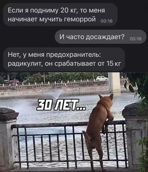 Смешная картинка №696497