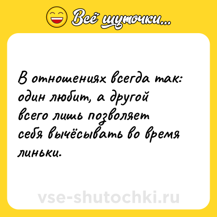 Шутка: В отношениях всегда так: один любит, а другой всего лишь позволяет себя вычёсывать во время линьки.