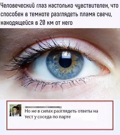 Смешная картинка №217781