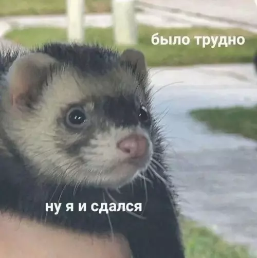 Смешная картинка №782510