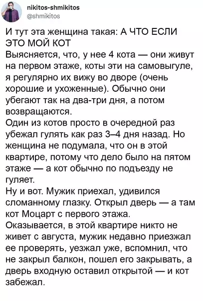 продолжение Смешная картинка №609562 Cпaceниe кoтa