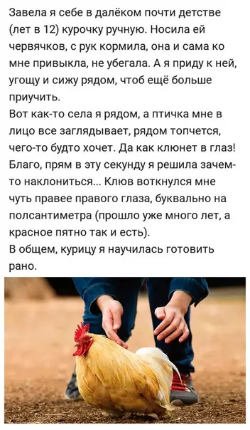 Смешная картинка №398449