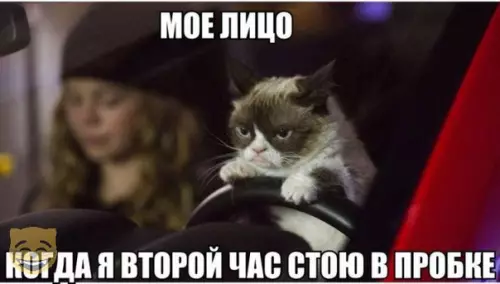 Смешная картинка №323528