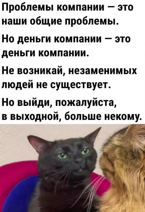 Смешная картинка №779611 Работа