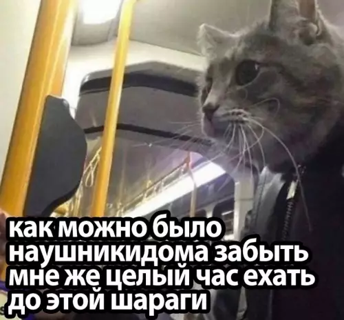 Смешная картинка №719860 провал