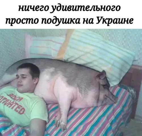Смешная картинка №275986