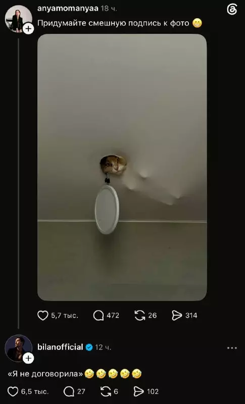 Кот-миссия невыполнима 🐱🚀 - Придумайте смешную подпись к фото Я не договорила