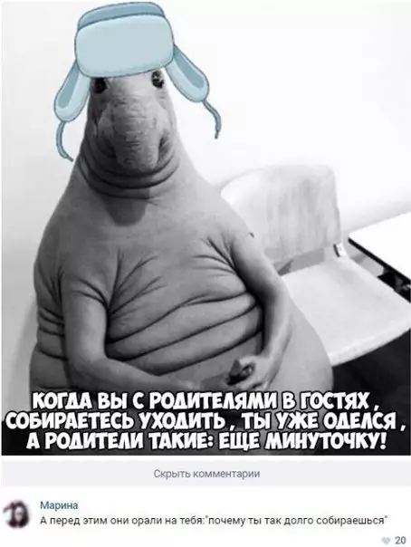 Смешная картинка №270374