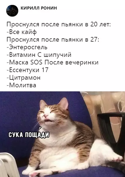 Смешная картинка №341787