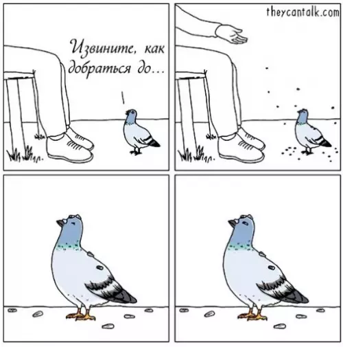 Смешная картинка №274430