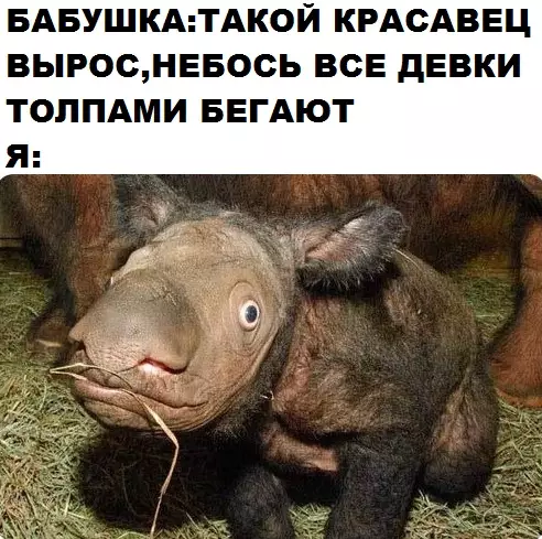 Смешная картинка №300440