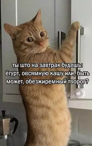 Смешная картинка №767972