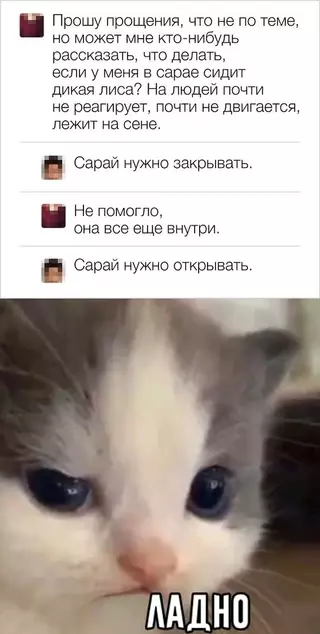 Смешная картинка №704123