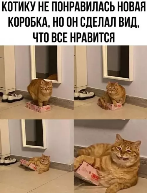 Смешная картинка №701532