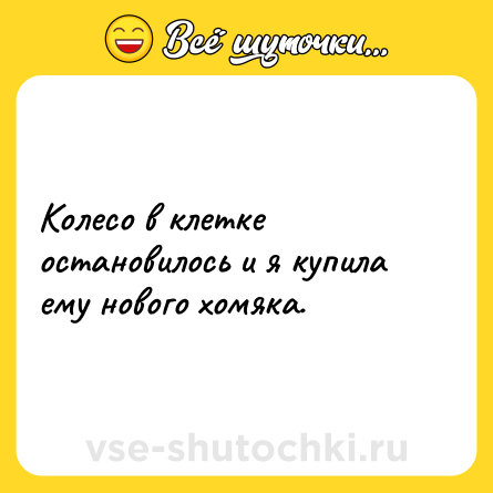 Шутка: Колесо в клетке остановилось и я купила ему нового хомяка.