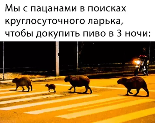 Смешная картинка №466285