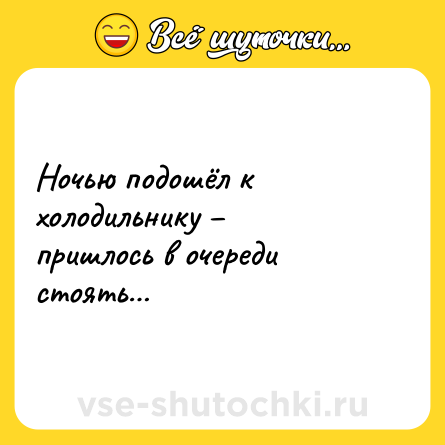 Шутка: Ночью подошёл к холодильнику – пришлось в очереди стоять…