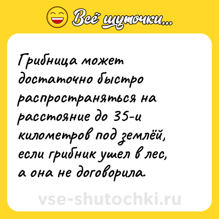 Шутка: Грибница может достаточно быстро распространяться на расстояние до 35-и километров под землёй, если грибник ушел в лес, а она не договорила.