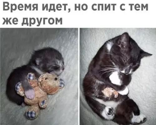 Смешная картинка №202081