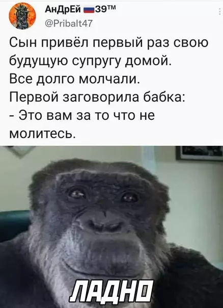 Смешная картинка №626744
