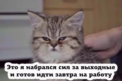 Смешная картинка №284344