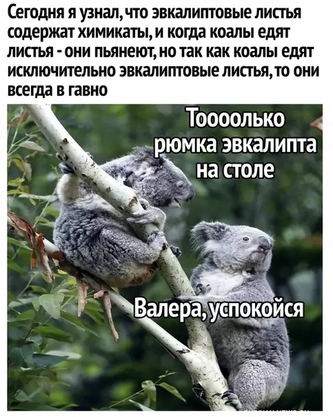Смешная картинка №288723