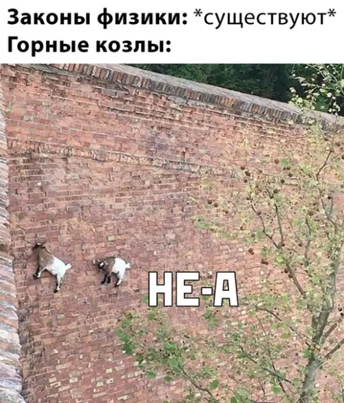 Смешная картинка №469137