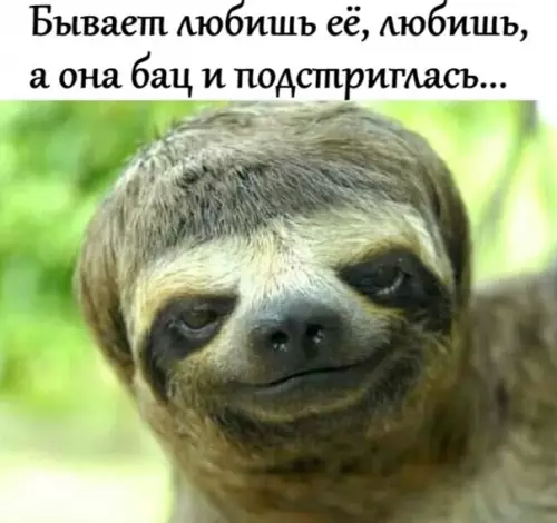 Смешная картинка №365659 ,)))) =)