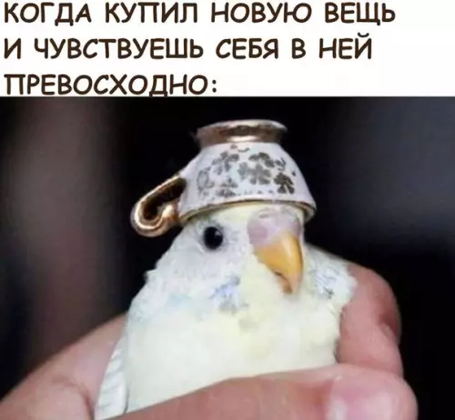 Смешная картинка №244808