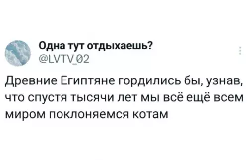 Поклонение котам - Древние Египтяне гордились бы, узнав, что спустя тысячи лет мы
