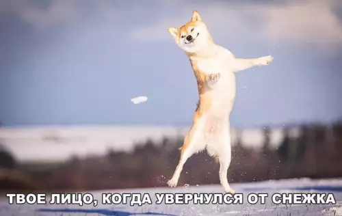 Смешная картинка №238182