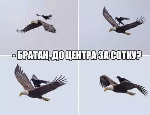 Смешная картинка №181466